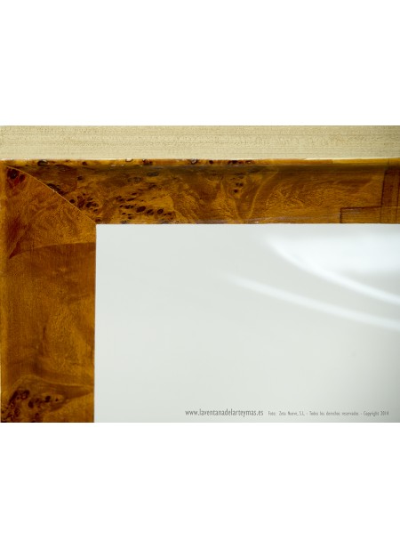 ESP116