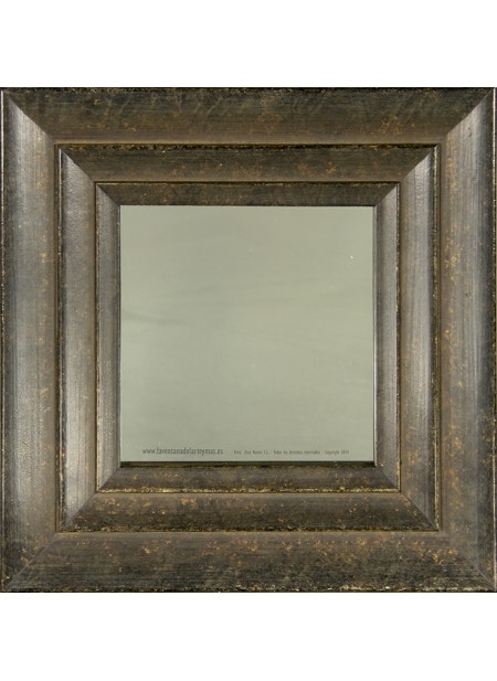 ESP205